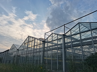Ecological Restaurant Greenhouse