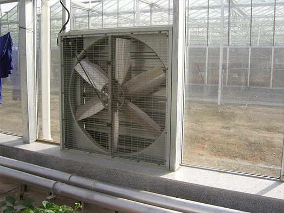 Fan and Pad Cooling System