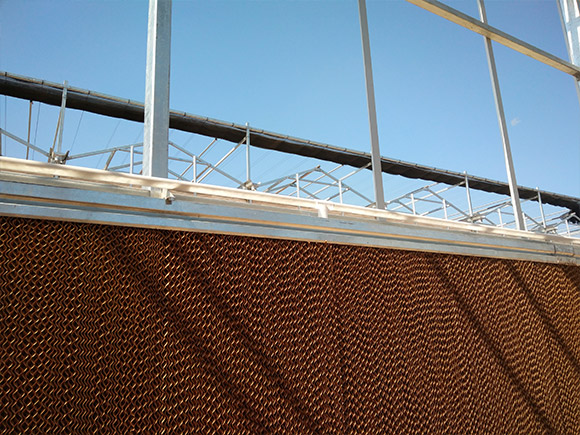 Fan and Pad Cooling System