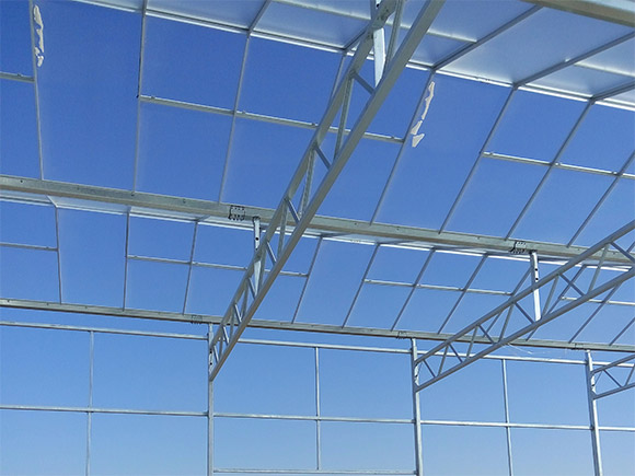Glass Greenhouse Skeleton