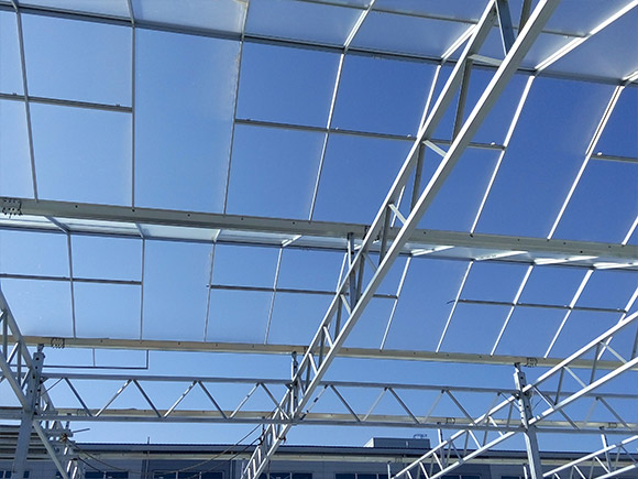 Glass Greenhouse Skeleton