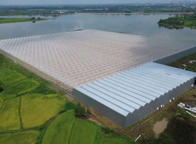 Glass&Sandwich Panel Greenhouse
