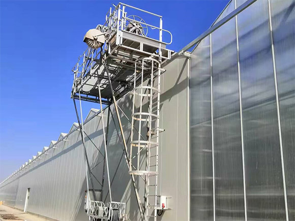 Greenhouse with Roof Cleaning Machine
