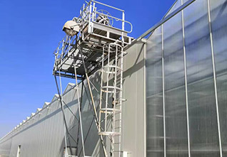 Greenhouse-with-Roof-Cleaning-Machine-11