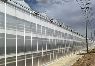 Greenhouse-with-Roof-Cleaning-Machine-12