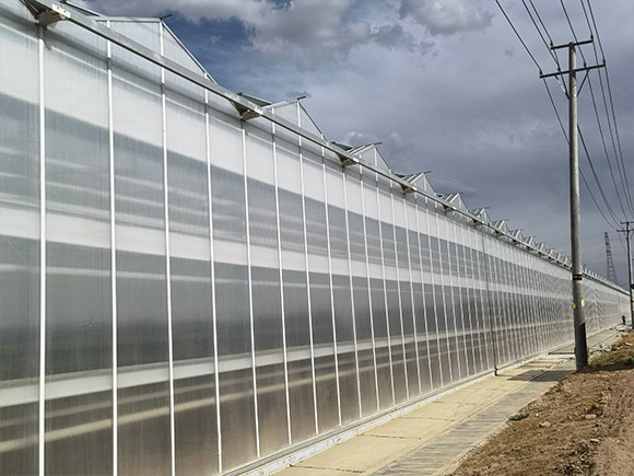 Greenhouse with Roof Cleaning Machine