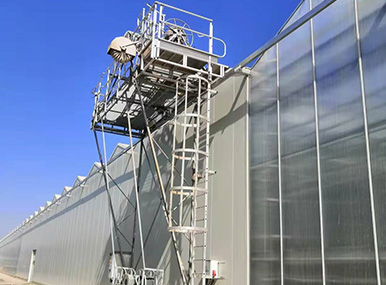 Greenhouse with Roof Cleaning Machine
