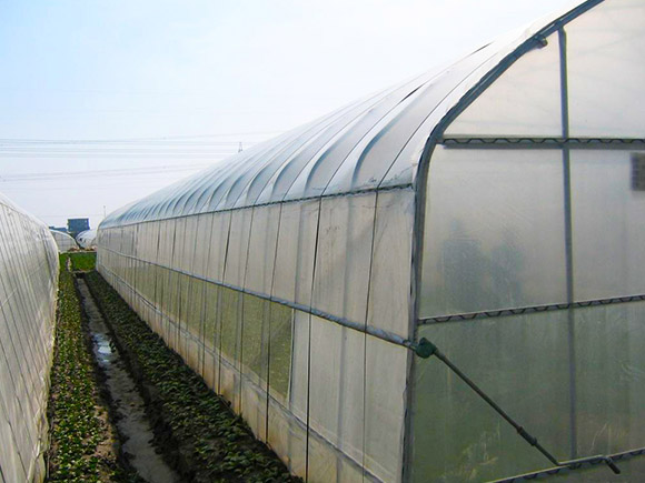 Large-span Single-span Greenhouse
