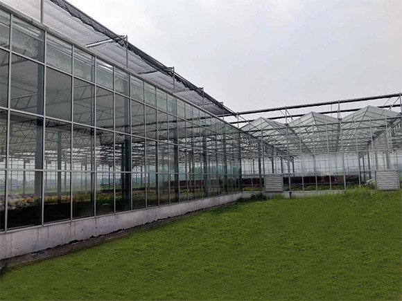 Multi-Layer Stereo Layout  PC Greenhouse