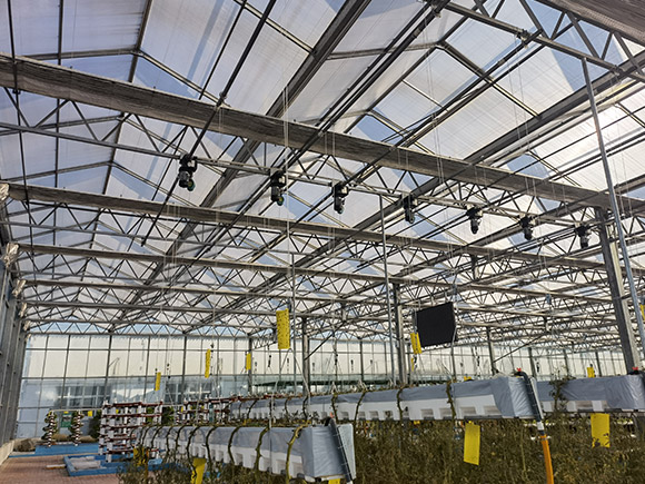 Multi-Layer Stereo Layout  PC Greenhouse