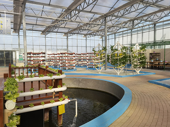 Multi-Layer Stereo Layout  PC Greenhouse