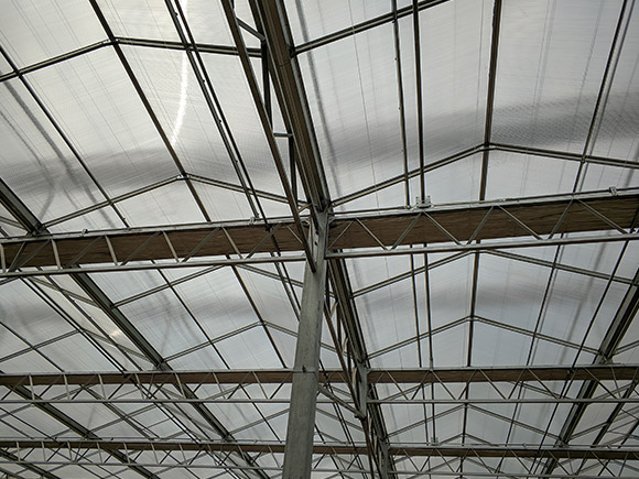 Multi-Layer Stereo Layout  PC Greenhouse