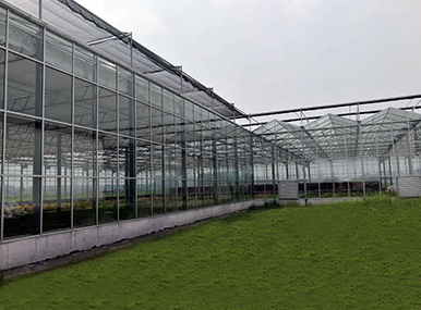 Multi-Layer Stereo Layout  PC Greenhouse