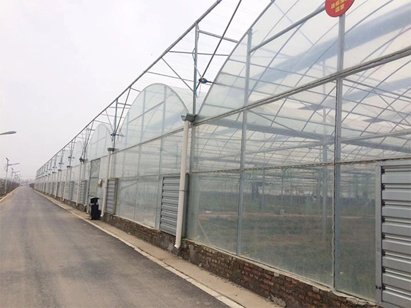 Multi-span Plastic Greenhouse