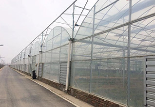Multi-span-Plastic-Greenhouse-11