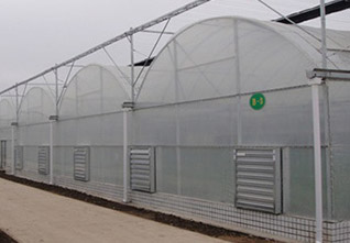 Multi-span-Plastic-Greenhouse-13