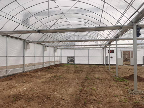 Multi-span Plastic Greenhouse