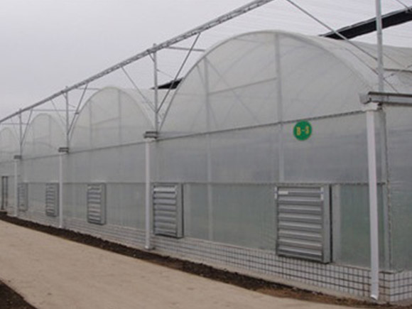 Multi-span Plastic Greenhouse
