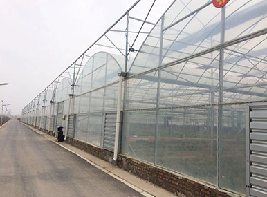 Multi-span Plastic Greenhouse