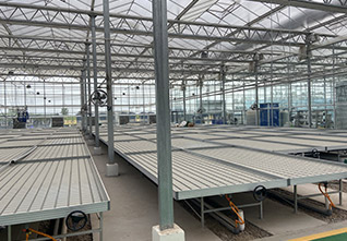 Seedbed-Planting-System-13