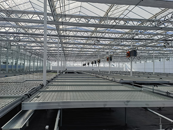 Seedbed Planting System