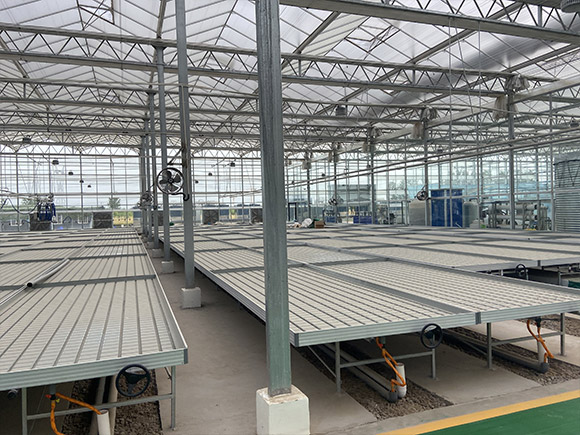 Seedbed Planting System
