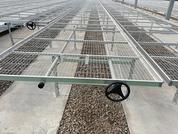 Seedbed Planting System