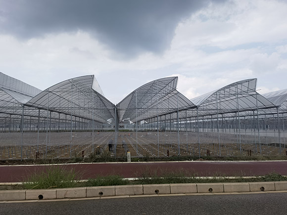 Serrated Plastic Greenhouse