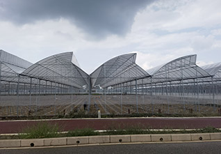 Serrated-Plastic-Greenhouse-11