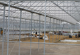 Serrated-Plastic-Greenhouse-13
