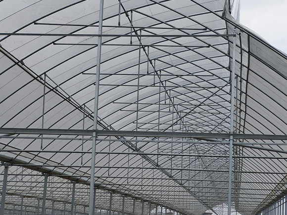 Serrated Plastic Greenhouse