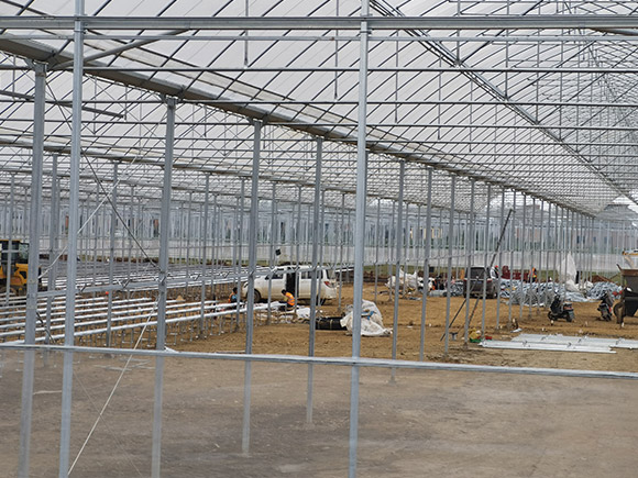 Serrated Plastic Greenhouse