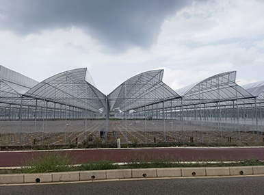 Serrated Plastic Greenhouse