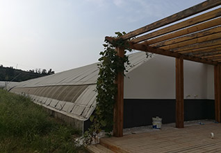 Sightseeing-Solar-Greenhouse-12