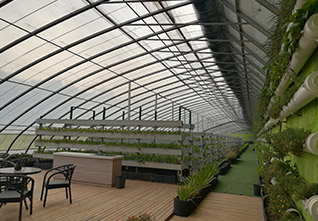 Sightseeing-Solar-Greenhouse-13