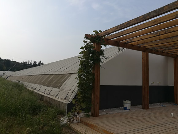 Sightseeing Solar Greenhouse