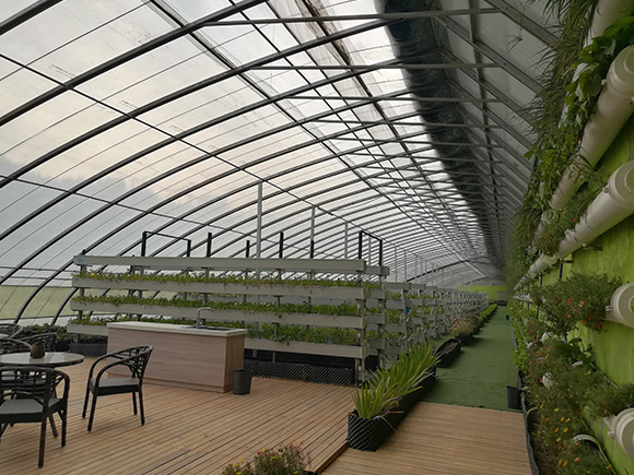 Sightseeing Solar Greenhouse
