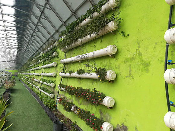 Sightseeing Solar Greenhouse