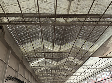 Solar Panel Glass Greenhouse