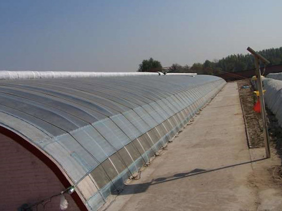 Solid-wall Solar Greenhouse