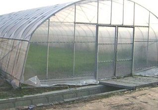 Standard-Single-span-Greenhouse-13