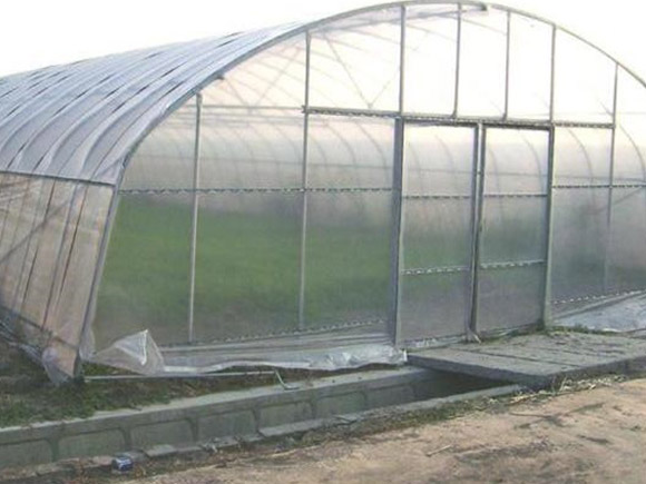 Standard Single-span Greenhouse