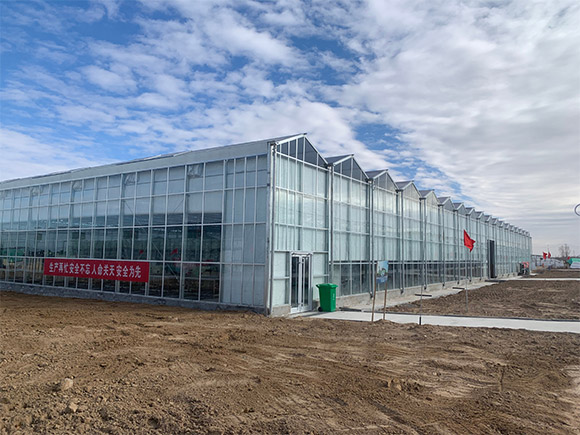 Steel Gutter Glass Greenhouse