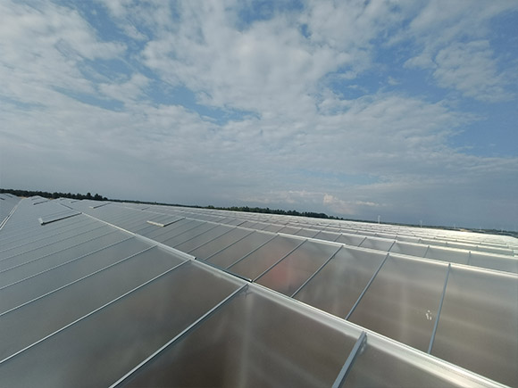 Steel Gutter Glass Greenhouse