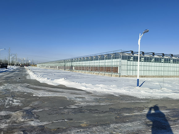 Various Planting Greenhouses