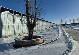 Various-planting-greenhouses-11