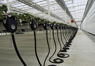 Various-planting-greenhouses-12