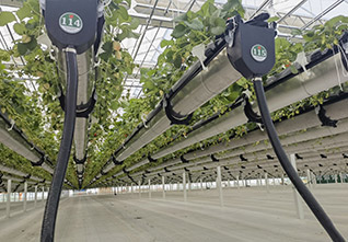 Various-planting-greenhouses-13