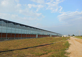 Various-planting-greenhouses-14