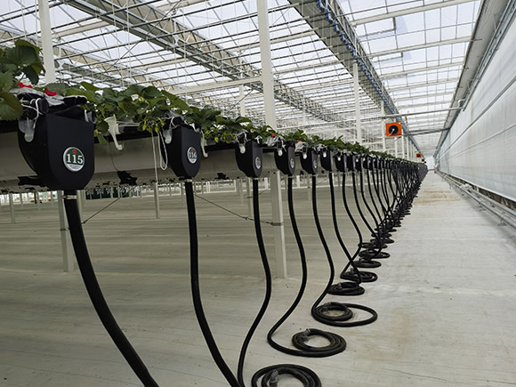 Various Planting Greenhouses